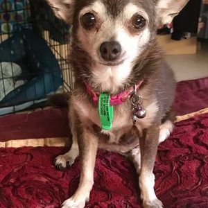 Meet your Posher, Joan